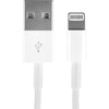 Apple Lightning to USB Cable (1 m)