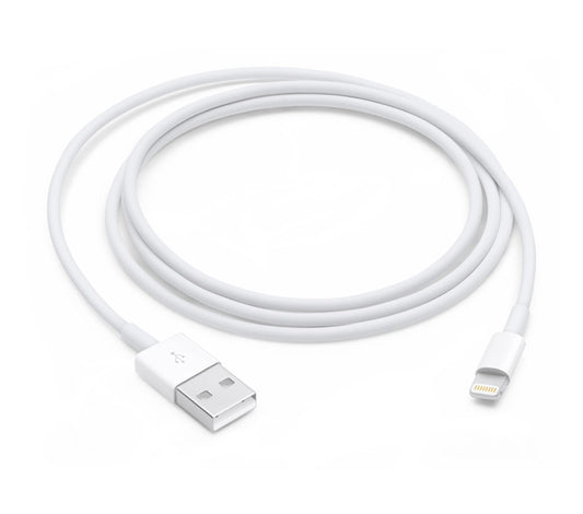 Apple Lightning to USB Cable (1 m)